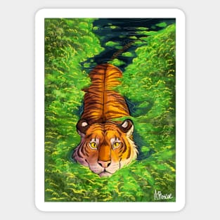 Wild tiger Sticker